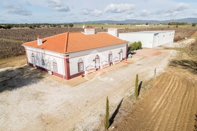 Quinta - Redondo, Redondo, �vora - Miniatura: 75/89