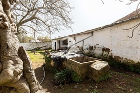 Moradia T3 - Vila de Frades, Vidigueira, Beja - Miniatura: 30/67