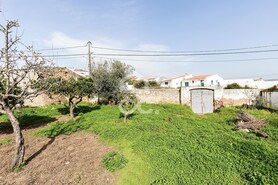 Moradia T3 - Vila de Frades, Vidigueira, Beja - Miniatura: 34/67