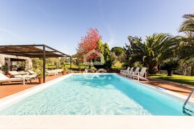 Quinta T6 - Santiago do Escoural, Montemor-o-Novo, �vora - Miniatura: 2/92