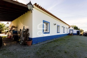 Quinta T6 - Santiago do Escoural, Montemor-o-Novo, �vora - Miniatura: 49/92