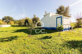 Quinta T6 - Santiago do Escoural, Montemor-o-Novo, �vora - Miniatura: 61/92