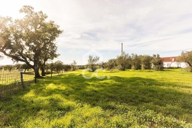 Quinta T6 - Santiago do Escoural, Montemor-o-Novo, �vora - Miniatura: 69/92