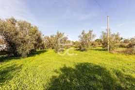 Quinta T6 - Santiago do Escoural, Montemor-o-Novo, �vora - Miniatura: 72/92