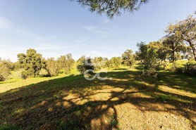 Quinta T6 - Santiago do Escoural, Montemor-o-Novo, �vora - Miniatura: 74/92