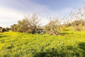 Quinta T6 - Santiago do Escoural, Montemor-o-Novo, �vora - Miniatura: 76/92