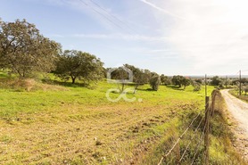 Quinta T6 - Santiago do Escoural, Montemor-o-Novo, �vora - Miniatura: 77/92
