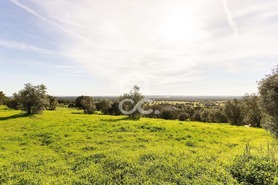 Quinta T6 - Santiago do Escoural, Montemor-o-Novo, �vora - Miniatura: 78/92