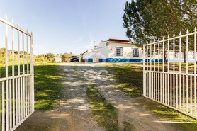 Quinta T6 - Santiago do Escoural, Montemor-o-Novo, �vora - Miniatura: 82/92