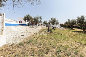 Quinta T3 - AMEIXIAL, Estremoz, �vora - Miniatura: 34/73