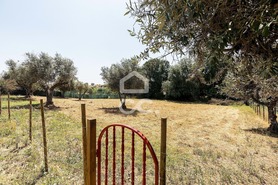 Quinta T3 - AMEIXIAL, Estremoz, �vora - Miniatura: 53/73
