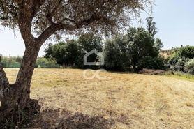 Quinta T3 - AMEIXIAL, Estremoz, �vora - Miniatura: 54/73