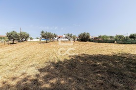 Quinta T3 - AMEIXIAL, Estremoz, �vora - Miniatura: 55/73