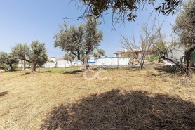 Quinta T3 - AMEIXIAL, Estremoz, �vora - Miniatura: 57/73