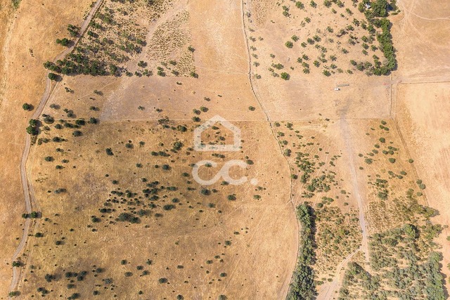 Terreno R�stico T0 - Reguengos de Monsaraz, Reguengos de Monsaraz, �vora - Imagem grande
