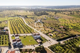 Terreno R�stico T0 - Igrejinha, Arraiolos, �vora - Miniatura: 15/24