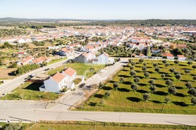 Terreno R�stico T0 - Igrejinha, Arraiolos, �vora - Miniatura: 17/24
