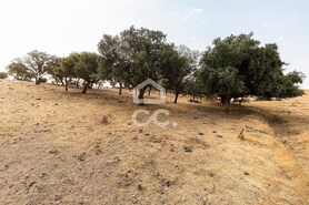 Terreno R�stico T0 - Reguengos de Monsaraz, Reguengos de Monsaraz, �vora - Miniatura: 1/22