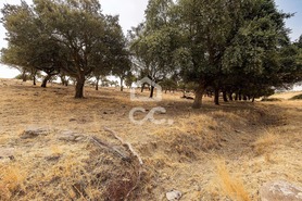 Terreno R�stico T0 - Reguengos de Monsaraz, Reguengos de Monsaraz, �vora - Miniatura: 2/22