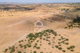 Terreno R�stico T0 - Reguengos de Monsaraz, Reguengos de Monsaraz, �vora - Miniatura: 15/22