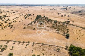 Terreno R�stico T0 - Reguengos de Monsaraz, Reguengos de Monsaraz, �vora - Miniatura: 19/22