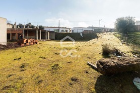 Terreno R�stico T0 - Amieira, Portel, �vora - Miniatura: 23/82