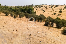 Terreno R�stico T0 - Reguengos de Monsaraz, Reguengos de Monsaraz, �vora - Miniatura: 2/12