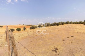Terreno R�stico T0 - Reguengos de Monsaraz, Reguengos de Monsaraz, �vora - Miniatura: 5/12