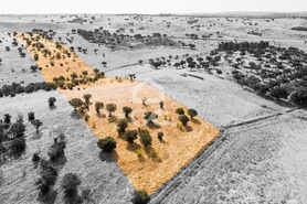 Terreno R�stico T0 - Reguengos de Monsaraz, Reguengos de Monsaraz, �vora - Miniatura: 6/12