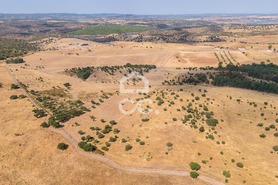 Terreno R�stico T0 - Reguengos de Monsaraz, Reguengos de Monsaraz, �vora - Miniatura: 12/12