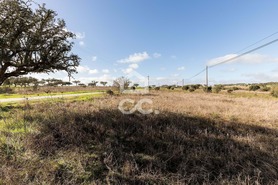 Terreno R�stico T0 - Capelins (Santo Ant�nio), Alandroal, �vora - Miniatura: 8/49