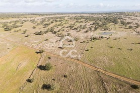 Terreno R�stico T0 - Capelins (Santo Ant�nio), Alandroal, �vora - Miniatura: 21/49