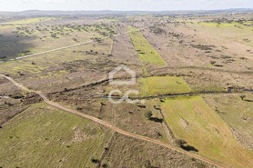 Terreno R�stico T0 - Capelins (Santo Ant�nio), Alandroal, �vora - Miniatura: 23/49