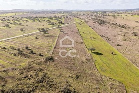 Terreno R�stico T0 - Capelins (Santo Ant�nio), Alandroal, �vora - Miniatura: 26/49