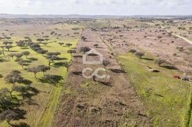 Terreno R�stico T0 - Capelins (Santo Ant�nio), Alandroal, �vora - Miniatura: 30/49