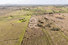 Terreno R�stico T0 - Capelins (Santo Ant�nio), Alandroal, �vora - Miniatura: 34/49