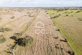 Terreno R�stico T0 - Capelins (Santo Ant�nio), Alandroal, �vora - Miniatura: 42/49