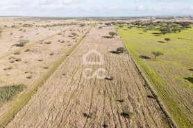 Terreno R�stico T0 - Capelins (Santo Ant�nio), Alandroal, �vora - Miniatura: 44/49