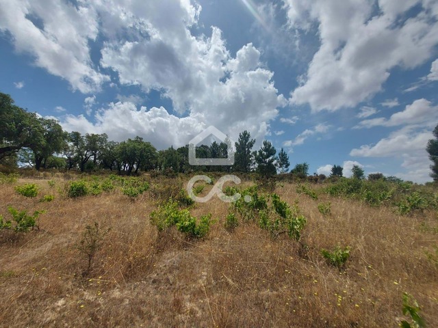 Terreno R�stico T0 - Cabe��o, Mora, �vora - Imagem grande