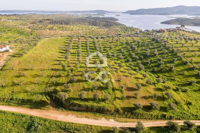Terreno R�stico T0 - Amieira, Portel, �vora - Imagem grande