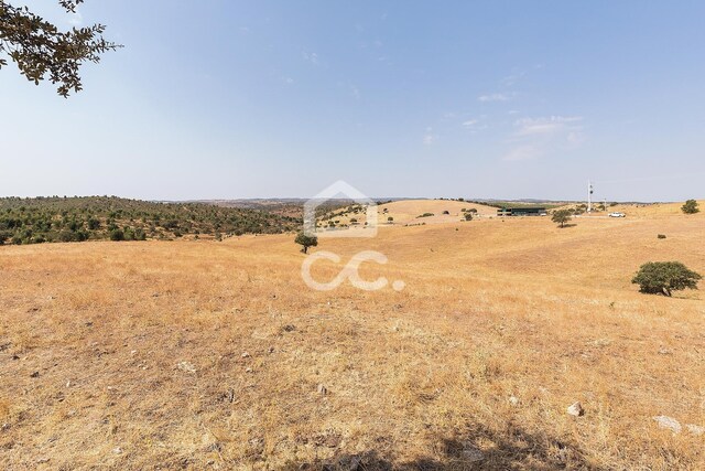 Terreno R�stico T0 - Reguengos de Monsaraz, Reguengos de Monsaraz, �vora - Imagem grande