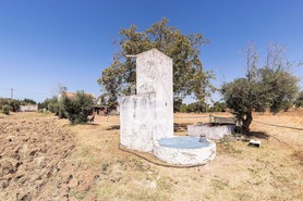 Quinta T4 - Malagueira, �vora, �vora - Miniatura: 23/62