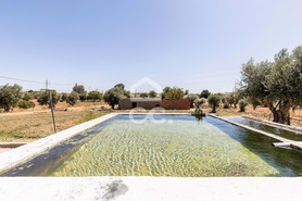 Quinta T4 - Malagueira, �vora, �vora - Miniatura: 36/62