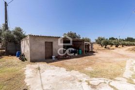 Quinta T4 - Malagueira, �vora, �vora - Miniatura: 40/62