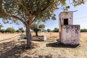 Quinta T4 - Malagueira, �vora, �vora - Miniatura: 42/62