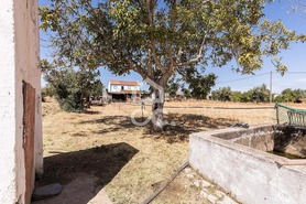 Quinta T4 - Malagueira, �vora, �vora - Miniatura: 43/62