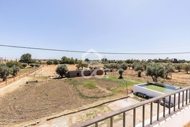 Quinta T4 - Malagueira, �vora, �vora - Miniatura: 49/62