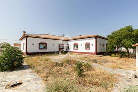Moradia T4 - Campo, Reguengos de Monsaraz, �vora - Miniatura: 34/61