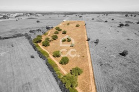 Quinta T0 - Alc��ovas, Viana do Alentejo, �vora - Miniatura: 2/28