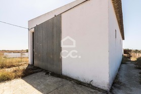 Quinta T0 - Alc��ovas, Viana do Alentejo, �vora - Miniatura: 7/28